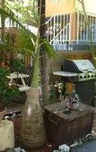 Туры в отель Ocean Inn Туры в отель Ocean Inn