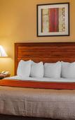 Туры в отель MainStay Suites Grand Island Туры в отель MainStay Suites Grand Island