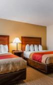 Туры в отель MainStay Suites Grand Island Туры в отель MainStay Suites Grand Island