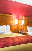 Туры в отель Econo Lodge Brockport Туры в отель Econo Lodge Brockport