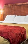 Туры в отель Econo Lodge Brockport Туры в отель Econo Lodge Brockport