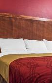 Туры в отель Econo Lodge Brockport Туры в отель Econo Lodge Brockport
