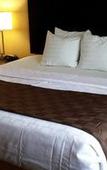 Туры в отель Paradise Inn & Suites Туры в отель Paradise Inn & Suites
