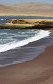 Туры в отель Paracas Туры в отель Paracas