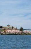 Туры в отель Hyatt Place Washington DC/National Mall Туры в отель Hyatt Place Washington DC/National Mall