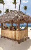 Туры в отель Paradisus Palma Real Golf & Spa Resort Туры в отель Paradisus Palma Real Golf & Spa Resort