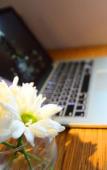 Туры в отель Edge Hotel Туры в отель Edge Hotel