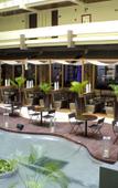 Туры в отель Paradisus Cancun Туры в отель Paradisus Cancun