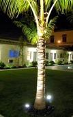 Туры в отель Fortuna Hotel Туры в отель Fortuna Hotel