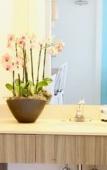 Туры в отель Fortuna Hotel Туры в отель Fortuna Hotel