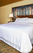 Туры в отель The Westin Buffalo Туры в отель The Westin Buffalo