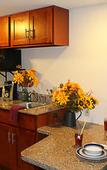 Туры в отель Crystal Springs Inn and Suites Туры в отель Crystal Springs Inn and Suites
