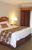 Туры в отель The Inn At Holiday Valley Туры в отель The Inn At Holiday Valley