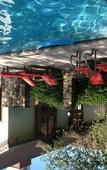 Туры в отель The Inn At Holiday Valley Туры в отель The Inn At Holiday Valley