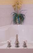 Туры в отель White Lace Inn Туры в отель White Lace Inn