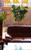 Туры в отель Knights Inn Brooklyn Sunset Park Туры в отель Knights Inn Brooklyn Sunset Park