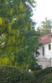 Туры в отель Geneva On The Lake Туры в отель Geneva On The Lake