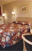 Туры в отель The Springwater Inn Туры в отель The Springwater Inn