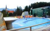 Туры в отель Terme Dobrna Hotel Park Dobrna Туры в отель Terme Dobrna Hotel Park Dobrna
