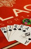 Туры в отель del Lago Resort & Casino Туры в отель del Lago Resort & Casino