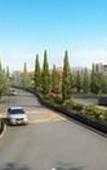 Туры в отель del Lago Resort & Casino Туры в отель del Lago Resort & Casino