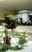 Туры в отель Park Hotel Debrecen Туры в отель Park Hotel Debrecen