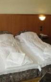 Туры в отель Park Hotel Debrecen Туры в отель Park Hotel Debrecen