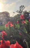 Туры в отель The Hampton Maid Туры в отель The Hampton Maid
