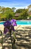 Туры в отель The Hampton Maid Туры в отель The Hampton Maid