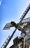 Туры в отель The Hampton Maid Туры в отель The Hampton Maid