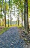 Туры в отель Homewood Suites by Hilton New Hartford Utica Туры в отель Homewood Suites by Hilton New Hartford Utica