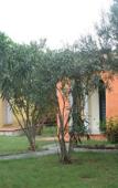 Туры в отель Park Hotel Porto Istana Туры в отель Park Hotel Porto Istana