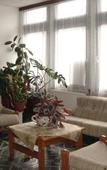Туры в отель Park Hotel Taltos Туры в отель Park Hotel Taltos