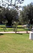 Туры в отель Park Hotel Village Туры в отель Park Hotel Village