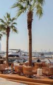 Туры в отель Park Hyatt Dubai Туры в отель Park Hyatt Dubai