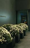 Туры в отель Park Hyatt Zurich Туры в отель Park Hyatt Zurich