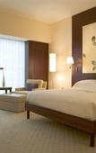 Туры в отель Park Hyatt Zurich Туры в отель Park Hyatt Zurich