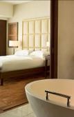 Туры в отель Park Hyatt Zurich Туры в отель Park Hyatt Zurich