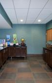 Туры в отель Hampton Inn Grand Rapids-South Туры в отель Hampton Inn Grand Rapids-South