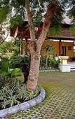 Туры в отель Pat-Mase Villas Туры в отель Pat-Mase Villas