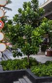Туры в отель Patong Beach Hotel Туры в отель Patong Beach Hotel