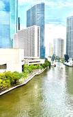 Туры в отель Hotel Indigo Miami Brickell by IHG Туры в отель Hotel Indigo Miami Brickell by IHG