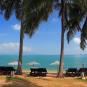 Туры в отель Peace Resort Samui, оператор Anex Tour