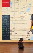 Туры в отель TownePlace Suites Tampa Casino Area Туры в отель TownePlace Suites Tampa Casino Area