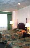 Туры в отель Pedregal Palace Туры в отель Pedregal Palace