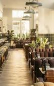 Туры в отель The Hoxton, Downtown LA Туры в отель The Hoxton, Downtown LA