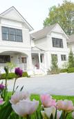Туры в отель The Springwater B&B Туры в отель The Springwater B&B