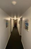 Туры в отель Boardwalk Sand & Surf Inn Oceanfront Туры в отель Boardwalk Sand & Surf Inn Oceanfront