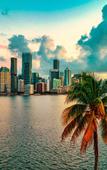 Туры в отель Atwell Suites Miami Brickell by IHG Туры в отель Atwell Suites Miami Brickell by IHG