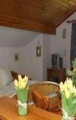 Туры в отель Pension Adlerhorst Туры в отель Pension Adlerhorst